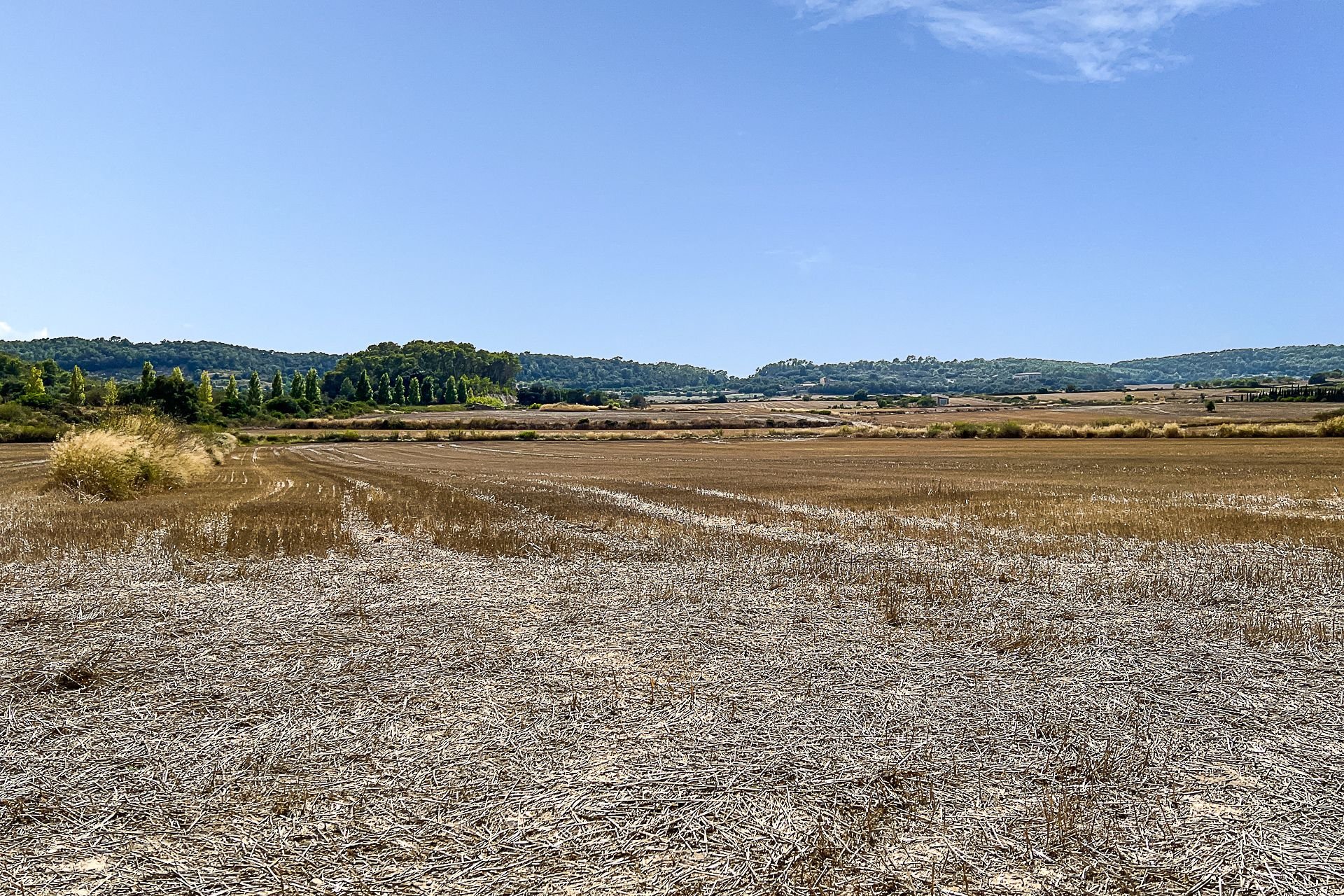 Ebenes Grundstück mit ca 14 000 m² mit guter Anbindung für Ihr