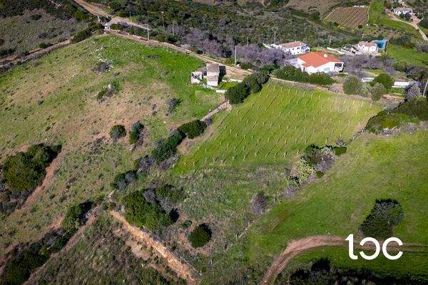 TERR. AGRICOLO-12.jpg