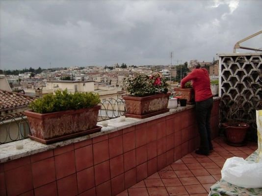 Dachterrasse mit Weitblick