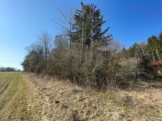 sehr kleine Feriensiedlung; Häuser unterkellert