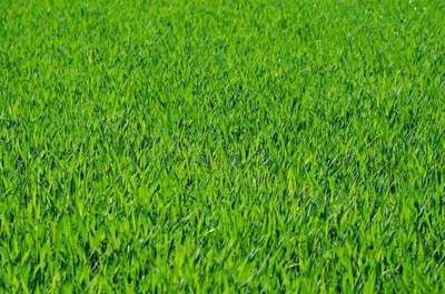 Kaposvár Grundstücke, Kaposvár Grundstück kaufen