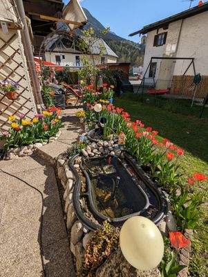 Schön angelegter Garten