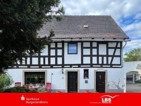 Elsteraue Häuser, Elsteraue Haus kaufen