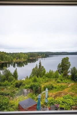 IMG_3565.jpeg