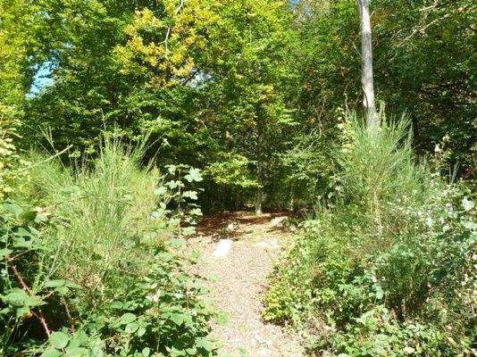 Eigener Joggingpfad auf dem Grundstück