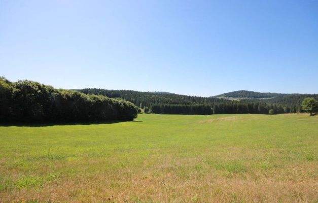 Blick auf das Grundstück