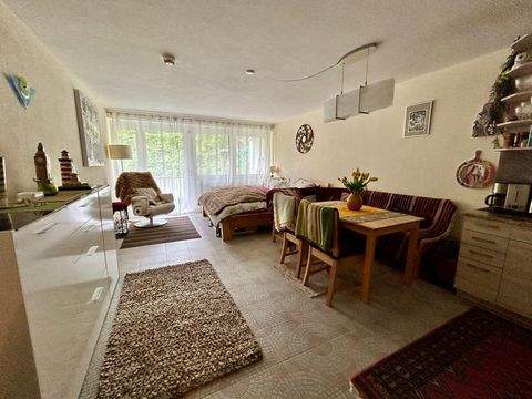 Bad Säckingen Wohnungen, Bad Säckingen Wohnung kaufen