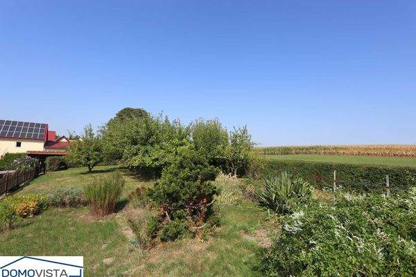 39. Blick in den Garten