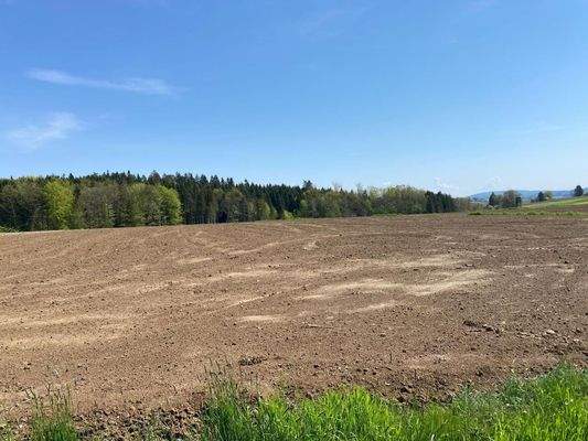 Aussicht 3 Baugrundstuecke Groß St Florian Deutsch