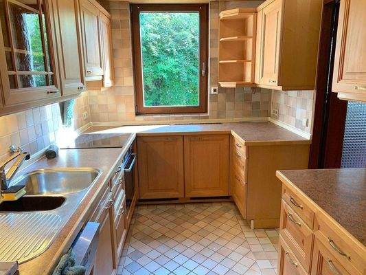 Küche mit Wohnzimmerzugang.jpeg