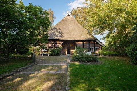 Bleckede Häuser, Bleckede Haus kaufen