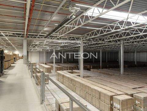 Herne Halle, Herne Hallenfläche