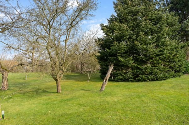 Garten 1