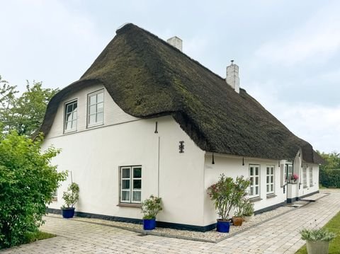 Süderstapel Häuser, Süderstapel Haus kaufen