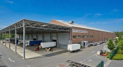 Stein Halle, Stein Hallenfläche