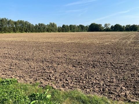 Delbrück Bauernhöfe, Landwirtschaft, Delbrück Forstwirtschaft