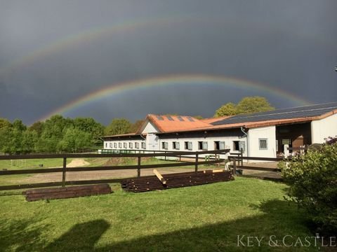 Ostrohe Bauernhöfe, Landwirtschaft, Ostrohe Forstwirtschaft