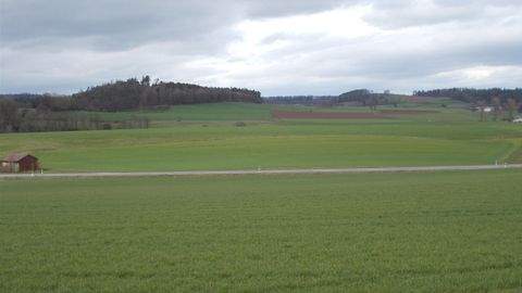 Rosenthal Bauernhöfe, Landwirtschaft, Rosenthal Forstwirtschaft