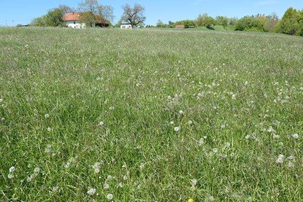 Bauerwartungsland Passau.JPG