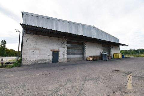 Burg Halle, Burg Hallenfläche