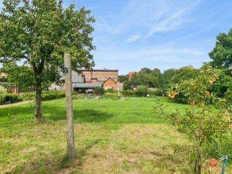 Blick aus dem Garten