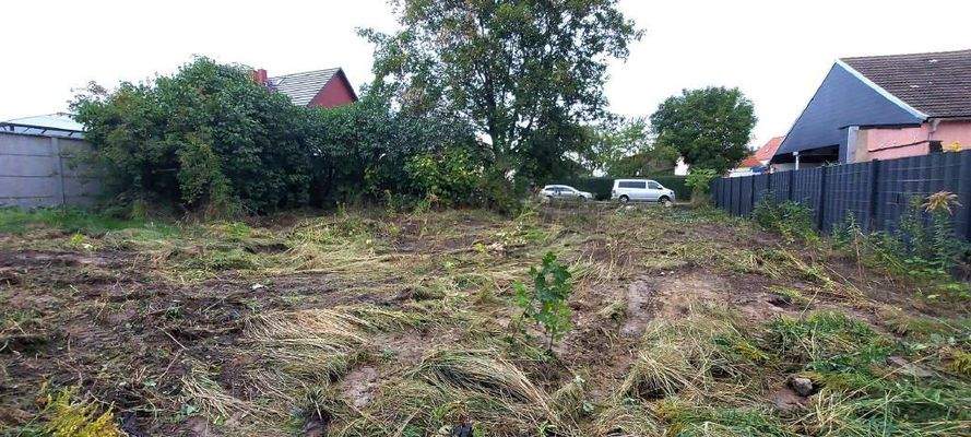 Ansicht gesamtes Grundstück