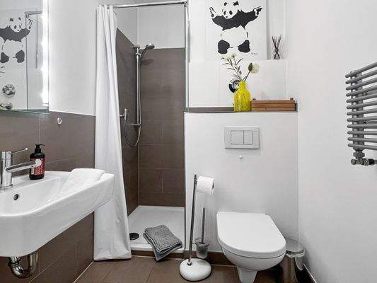 Duschbad untere Etage