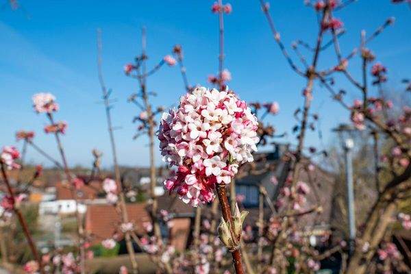 Besonders: Charmantes Kleinod in Küstennähe mit Ostseefernblick 
