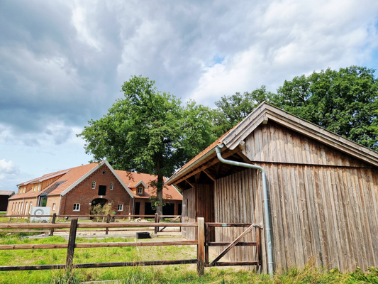 Blick auf das Wohnhaus