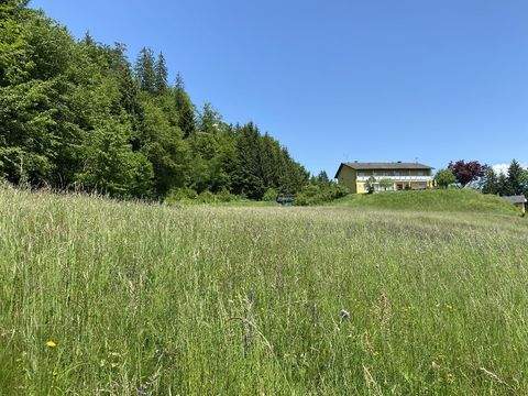 Pörtschach am Wörther See Grundstücke, Pörtschach am Wörther See Grundstück kaufen