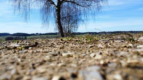 Kammelthal Bauernhöfe, Landwirtschaft, Kammelthal Forstwirtschaft