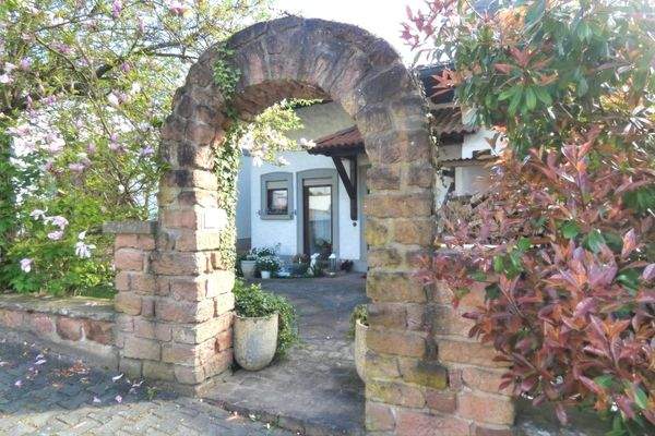 hier geht's rein....