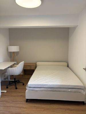 WhatsApp Image 2026-02-19 at 15.36.32 (4)