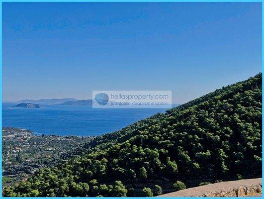 6991e687115047449b4ae8851cdb1ef4-original