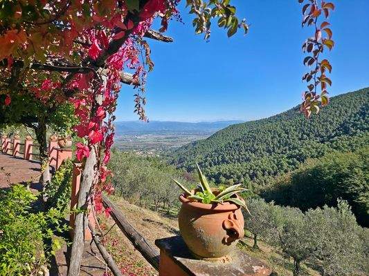 20251016_114058 - 1K JPEG.jpg