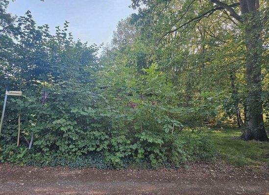 Blick auf das Grundstück