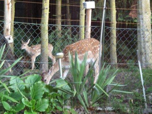 Ausblick Wintergarten