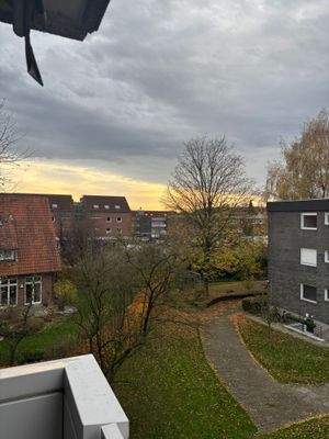 WhatsApp Image 2025-11-14 at 17.33.28