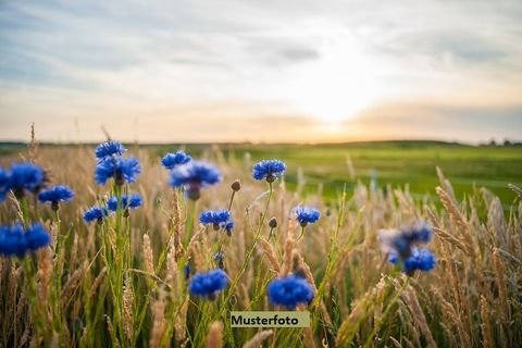 Meedensdorf Bauernhöfe, Landwirtschaft, Meedensdorf Forstwirtschaft