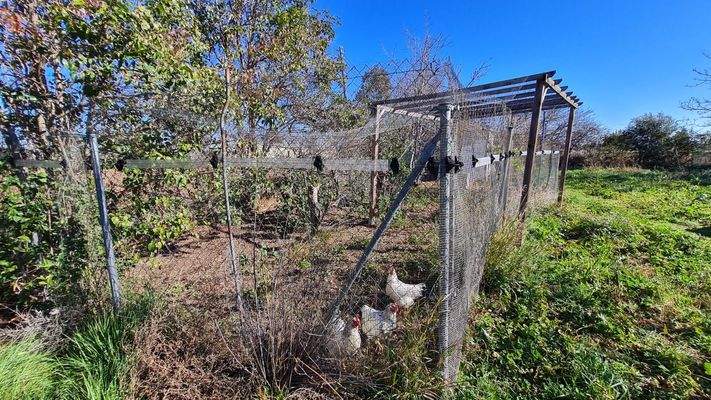 WhatsApp Image 2025-02-12 at 17.32.07 (8).jpeg