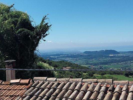 WhatsApp Image 2025-08-22 at 12.34.12.jpeg