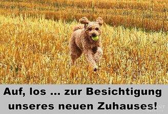 Auf, los ... zur Besichtigung unseres neuen Zuhaus
