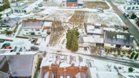 Neidenstein Grundstücke, Neidenstein Grundstück kaufen