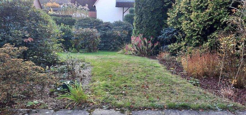 Blick in den Garten von der Terrasse