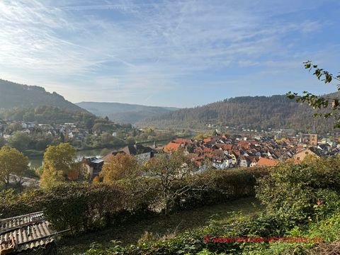 Eberbach Grundstücke, Eberbach Grundstück kaufen