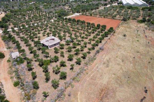 Kreta, Mouzouras: Flaches Grundstück mit Panoramablick zu verkaufen