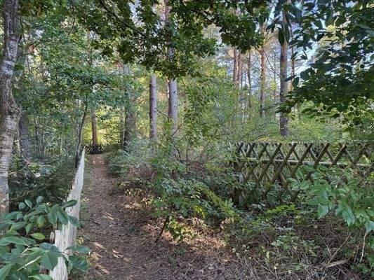 vom Haus direkt zum Strand 