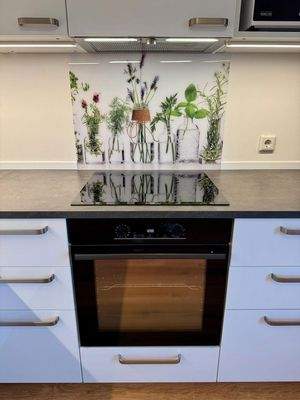 Induktionsherd mit Dunstabzug