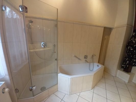 Tageslichtbad mit Wanne, Dusche, WC (1)