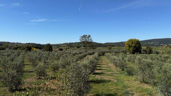 E21520DE-57D1-4470-82E1-2CD2F962389C_1_102_a